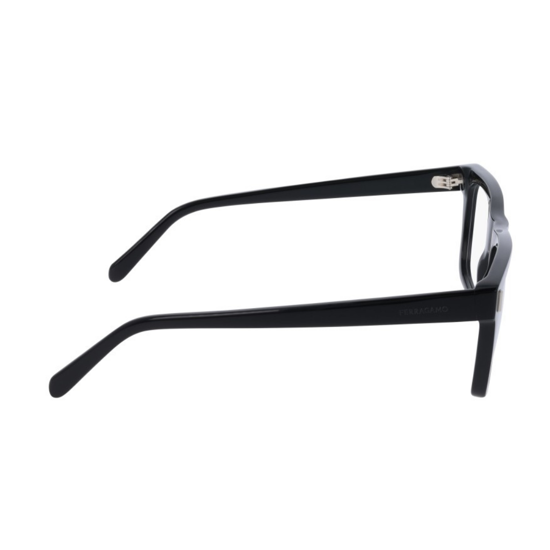 Salvatore Ferragamo Eyewear | Model SF3029