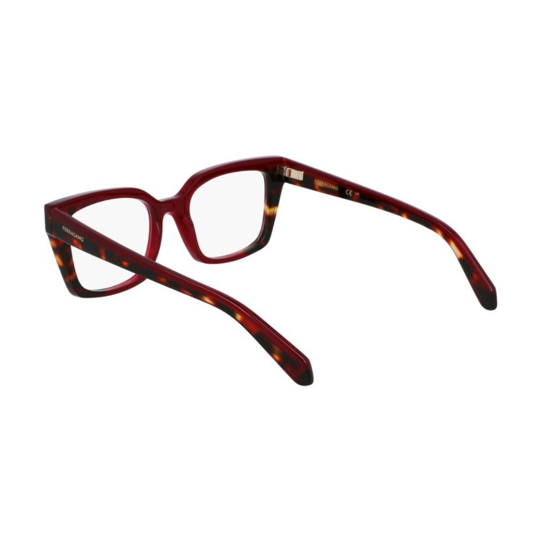 Salvatore Ferragamo Eyewear | Model SF3010