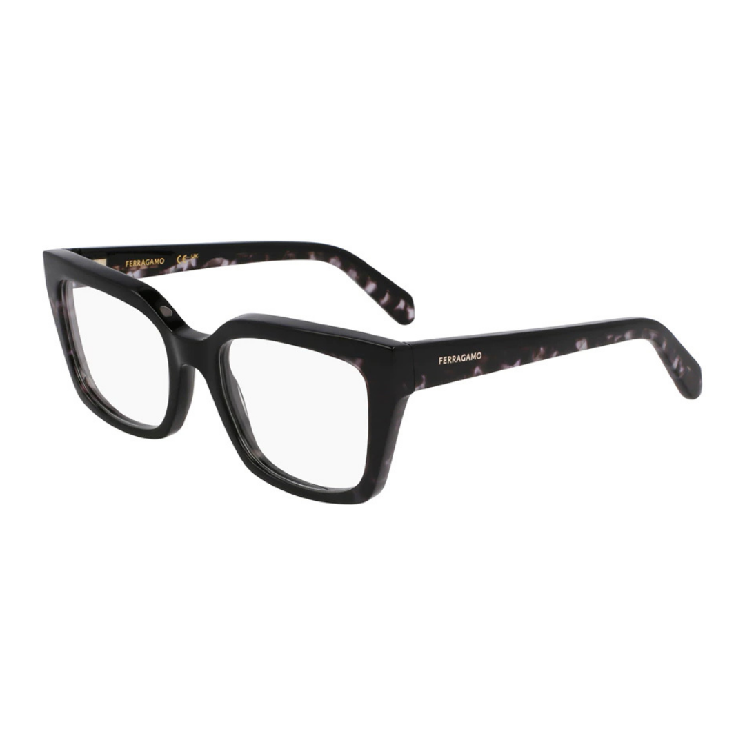 Salvatore Ferragamo Eyewear | Model SF3010