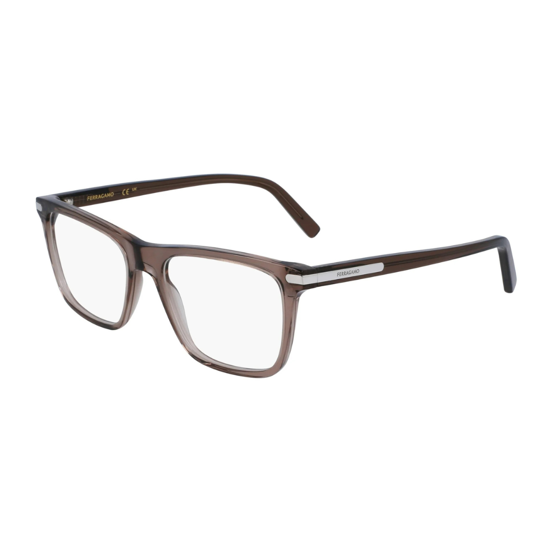 Lunettes Salvatore Ferragamo | Modèle SF2959N