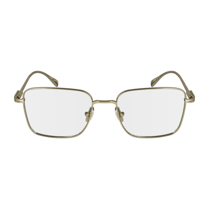 Salvatore Ferragamo Eyewear | Model SF2231