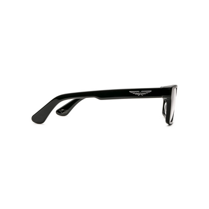 Lunettes de soleil Carrera - Polarisées | Modèle 295