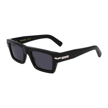 Salvatore Ferragamo Sunglasses | Model SF2034S