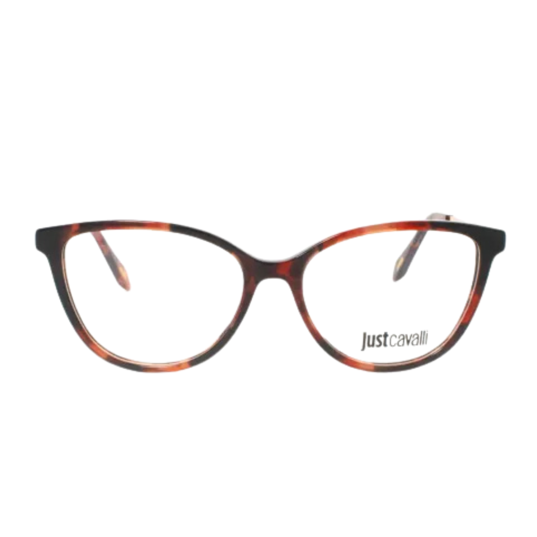 Monture optique Just Cavalli | Modèle VJC008