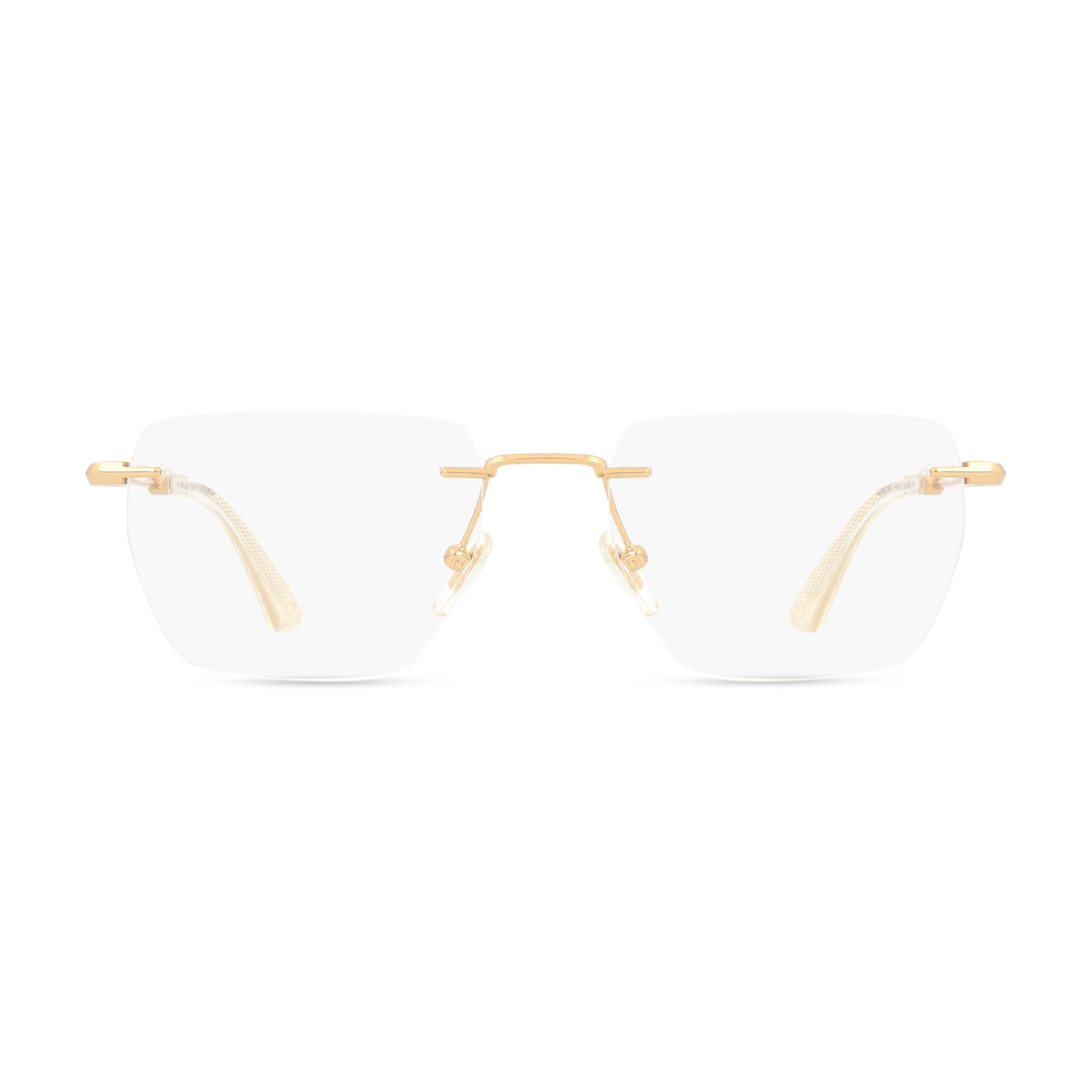Police Spectacle Frame | Model VPLN27