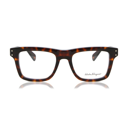 Salvatore Ferragamo Eyewear | Model SF2923
